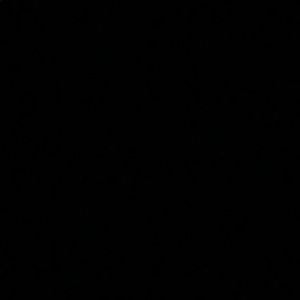 Meet your Posher, Chewy